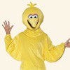 Big Bird
