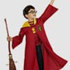 Kostimi Quidditch