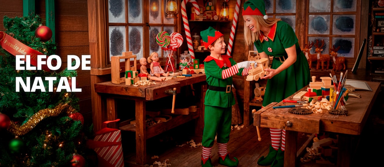 Fatos Elfo de Natal