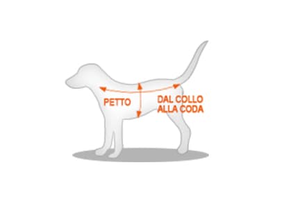 come misurare il cane