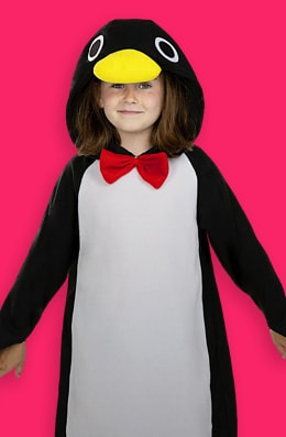 Costumi Animali