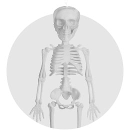 Skeletter Halloween Dekorationer