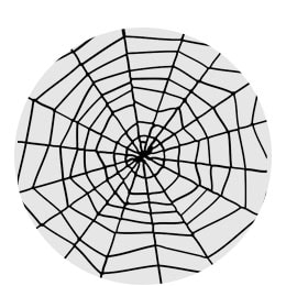 Halloween Spindelvæv
