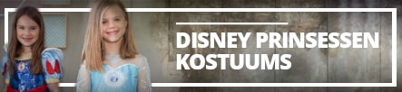 Disney Prinsessen Kostuums