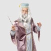 Kostimi Dumbledore