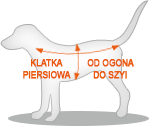 wymiary-psa