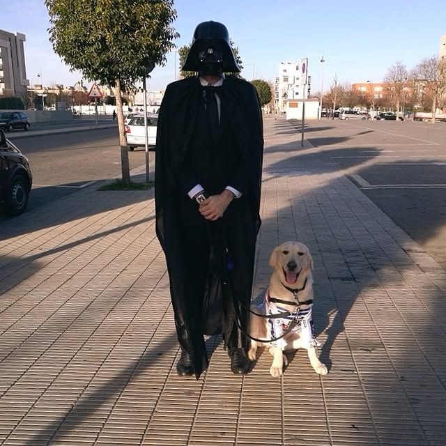 インスタグラムの写真