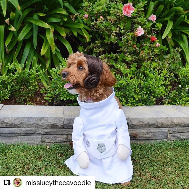 Instagram fotografija