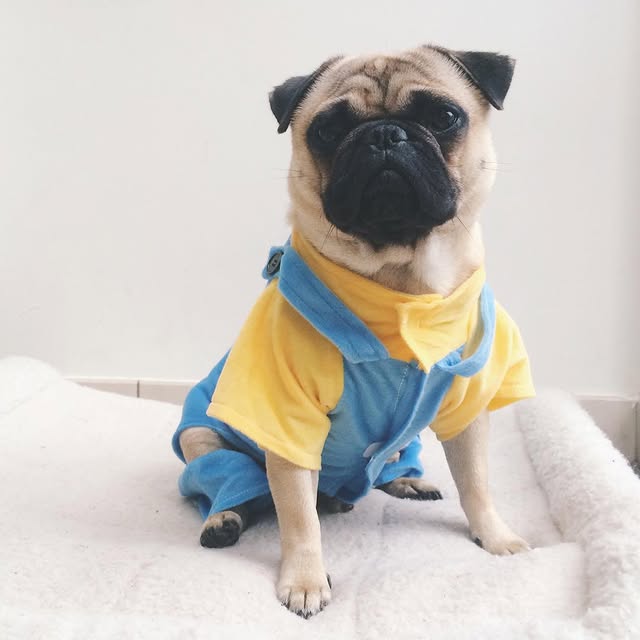 Φωτογραφία Instagram