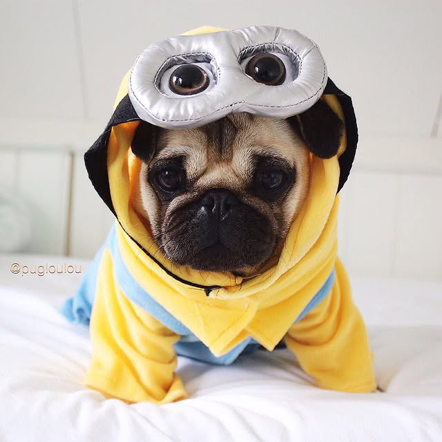 Φωτογραφία Instagram