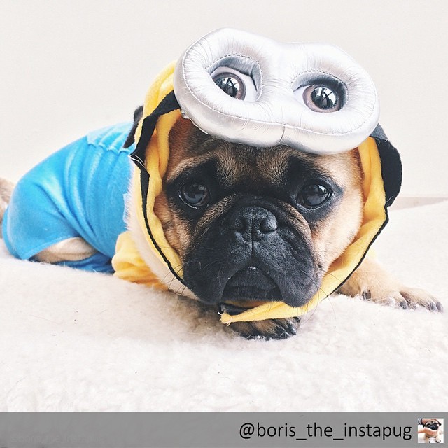 Φωτογραφία Instagram