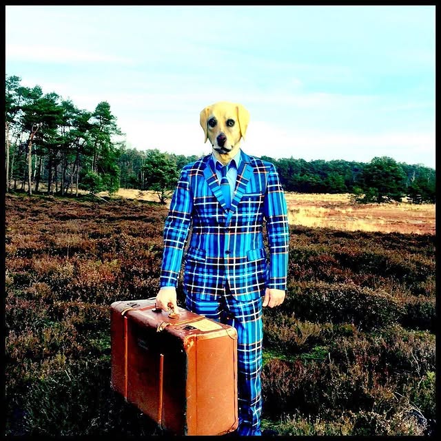 Instagram fotografija