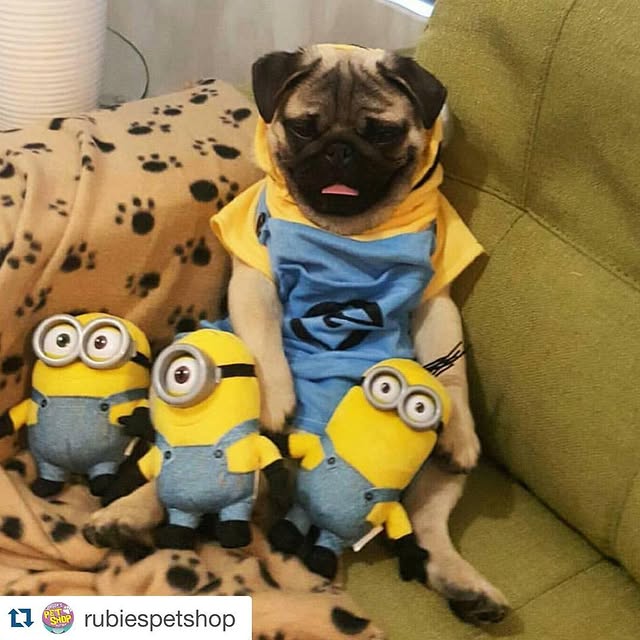 Φωτογραφία Instagram